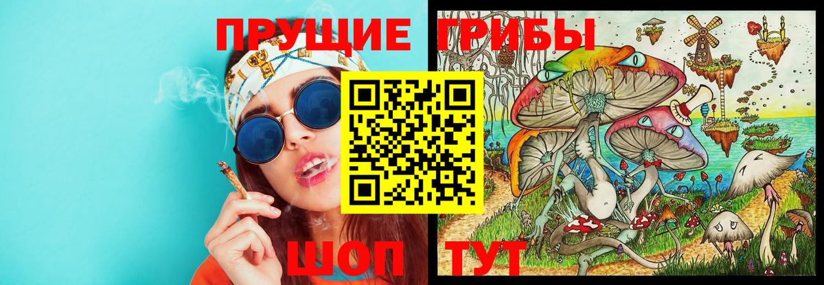 Североуральск  Псилоцибиновые грибы Cubensis  Вход с VPN  Галлюциногенные грибы MAGIC MUSHROOMS 