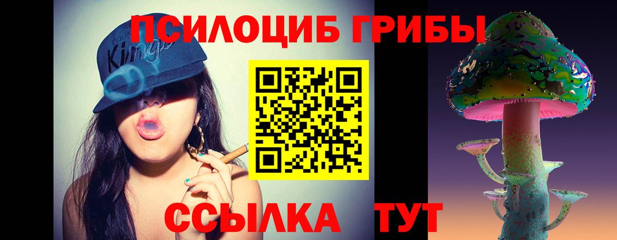 Псилоцибиновые грибы GOLDEN TEACHER Североуральск